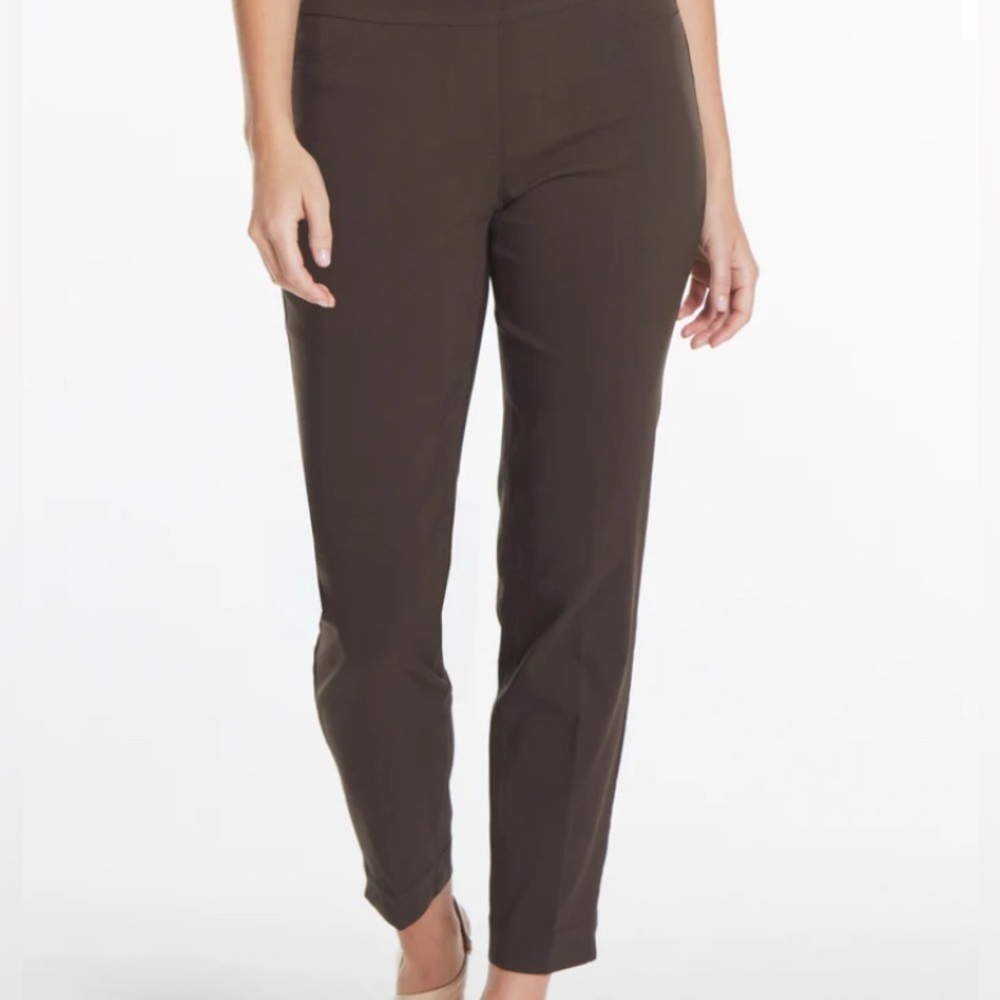 Soft Surroundings Skinny Stretch Pants in Turkish Coffee